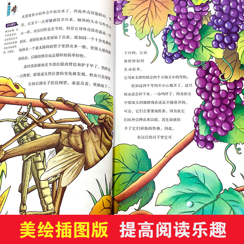 正版新书]昆虫记 美绘插图版(法)让·亨利·法布尔 著 夏东泽 编97高清大图