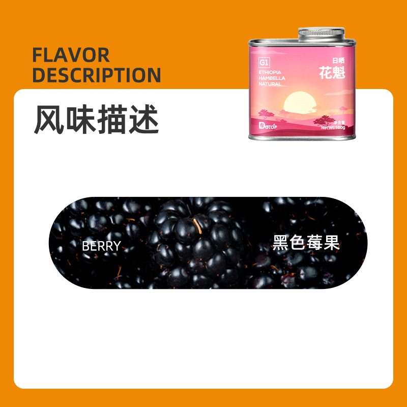 DGTOP日晒G1花魁咖啡豆手冲精品阿拉比卡咖啡豆100g/罐装单一产地埃塞浅烘新鲜烘焙