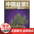 中国盆景赏石2012-8 中国盆景艺术家协会 中国林业出版社 正版书正