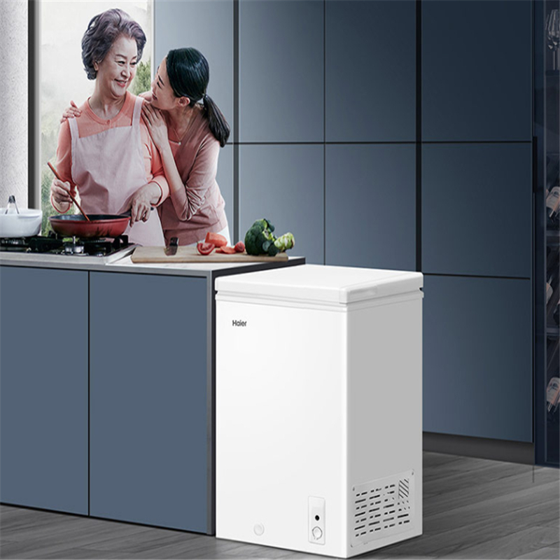 海尔(Haier)冷柜 BC/BD-103HTD 103升低霜家用冷柜