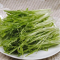 鑫牧盟苦菊/斤