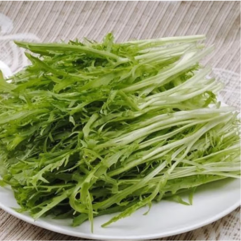 鑫牧盟苦菊/斤
