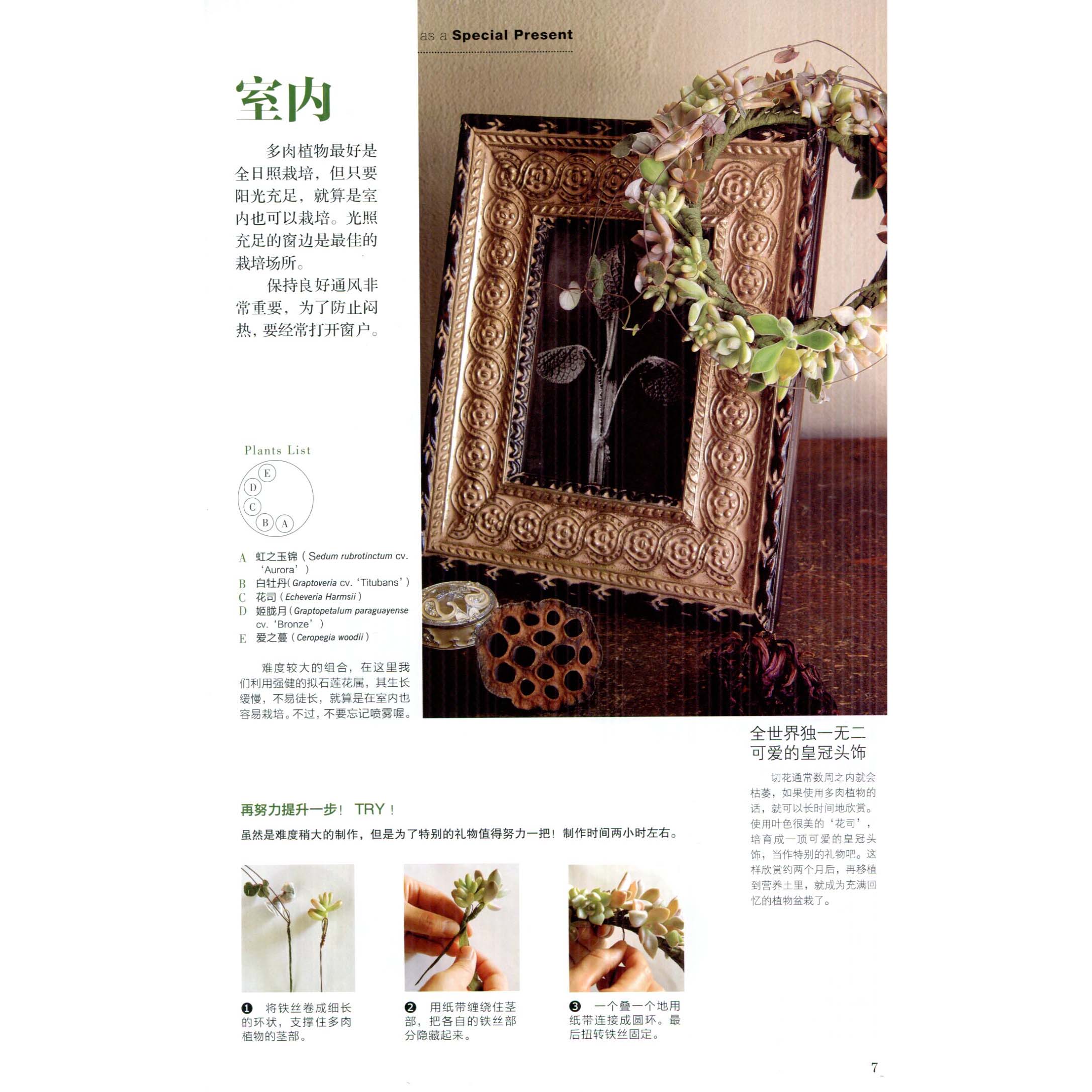 [正版图书]花园mook办公室盆栽种植书籍大全阳台花园木村卓功种植书园林植物书籍阳台花园布置设计园艺书花园mook绿手指高清大图