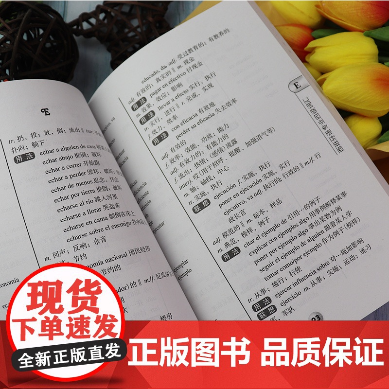 西班牙语专业四级词汇 零基础李晓科编著西班牙基础词汇四千余条西班牙语专四词汇教材西班牙语专业DELE-4四级考试9787高清大图