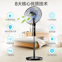 奥克斯(AUX)电风扇家用床头定时落地扇 节能立式办公室风扇 黑色 FS1603延长线