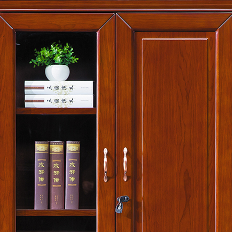 臻远ZY051423木质文件柜油漆贴木皮资料柜书柜 二门高清大图