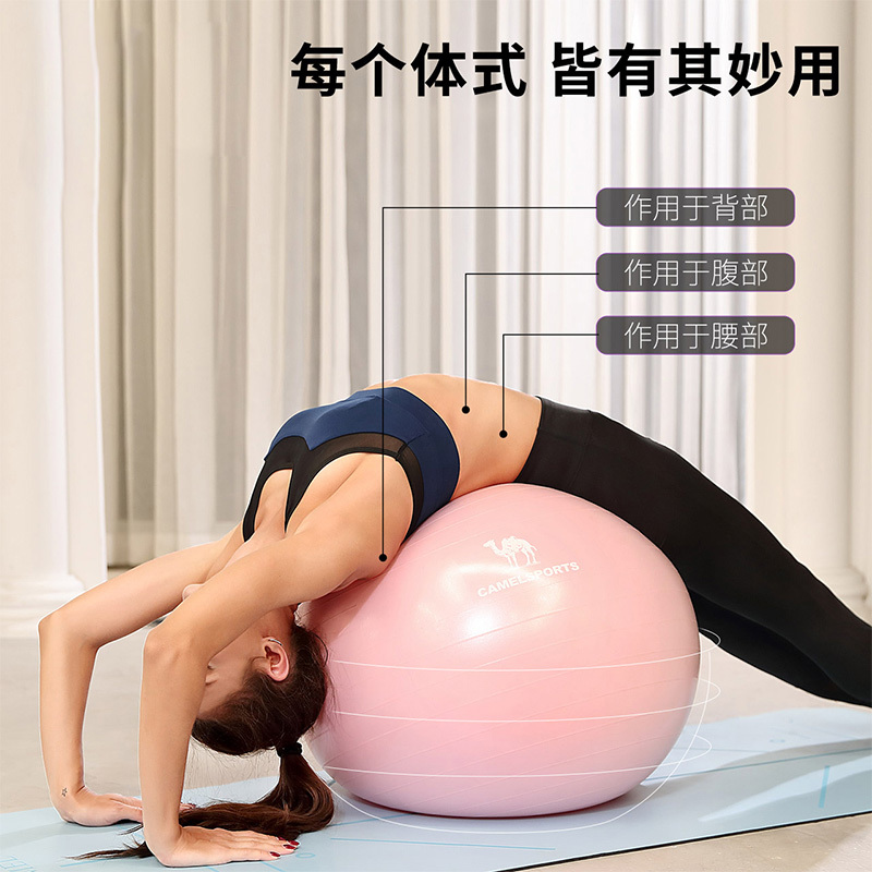 骆驼瑜伽球加厚防爆初学者健身球儿童球弹力运动瑜珈球