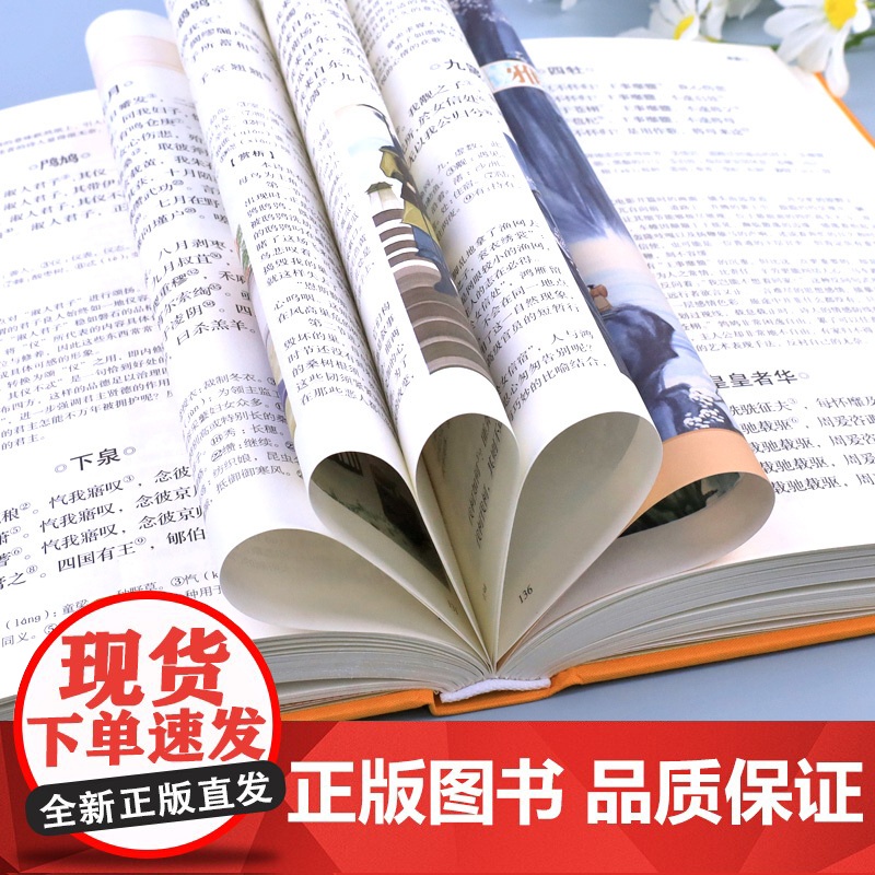 诗经正版全集精装原著文白对照译注赏析辞典诗词歌赋书大全集鉴赏国学书籍诗经原著解读风雅颂诗经全集赏析文化中国古诗词大全鉴赏高清大图