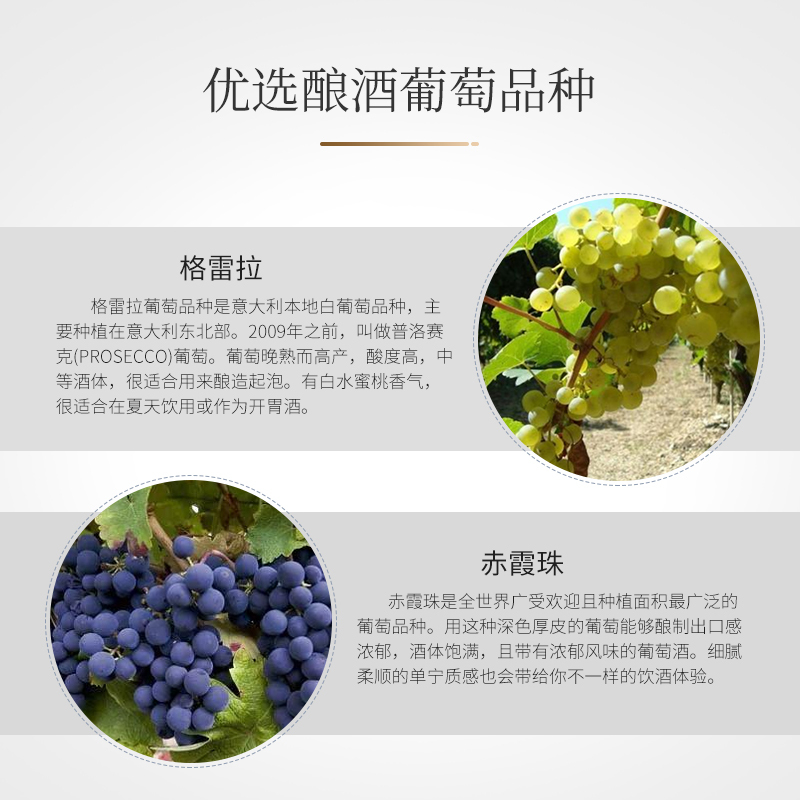 意大利原瓶进口威尼托DOC产区普洛赛克起泡酒葡萄酒(1瓶哦)