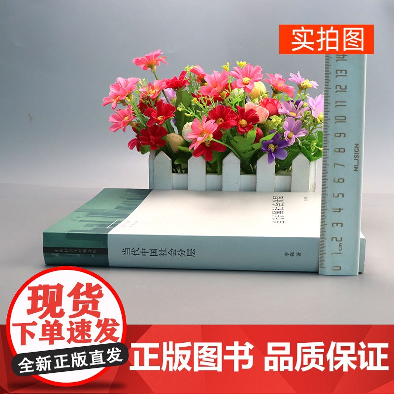 当代中国社会分层 生活书店出版李强教授 中国当代社会学经典中产 中国社会结构的俗易懂书籍中国社会各阶层分析社会各阶级的分高清大图