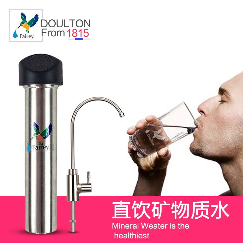 道尔顿净水器 直饮厨房净水机FIS102 FAIREY自来水滤水器 (含滤芯2支)