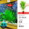 鱼缸造景莫斯沉木水榕无土植物懒人增氧真水草趴地矮珍珠陀草