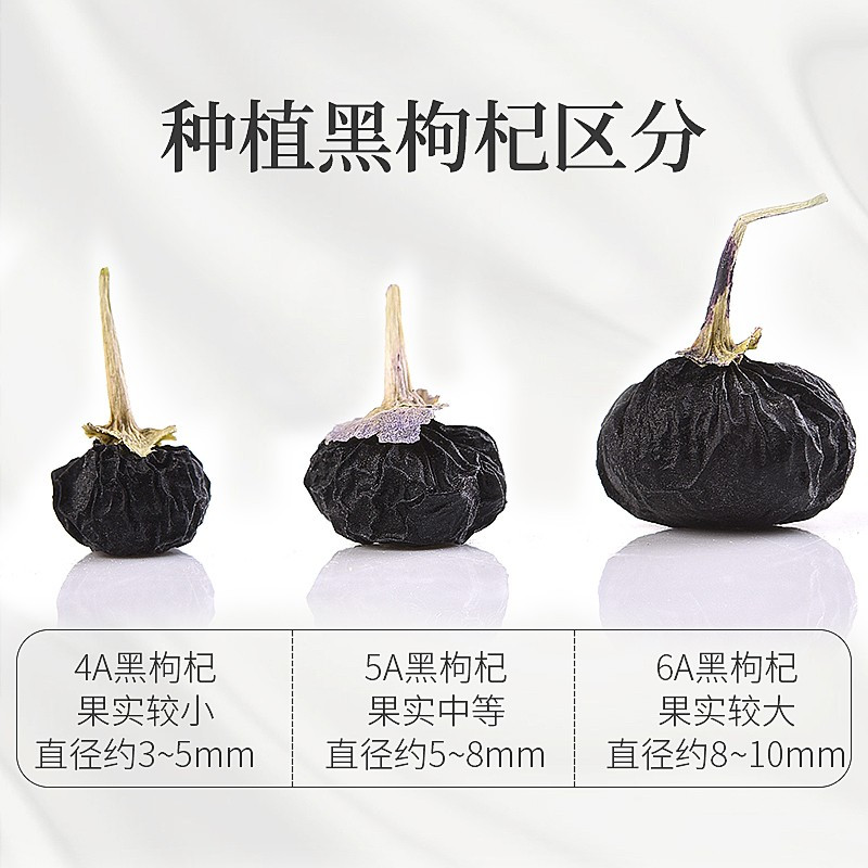 庄民 黑枸杞100g/罐 正宗青海柴达木 精选黑果枸杞子 6A果耐泡