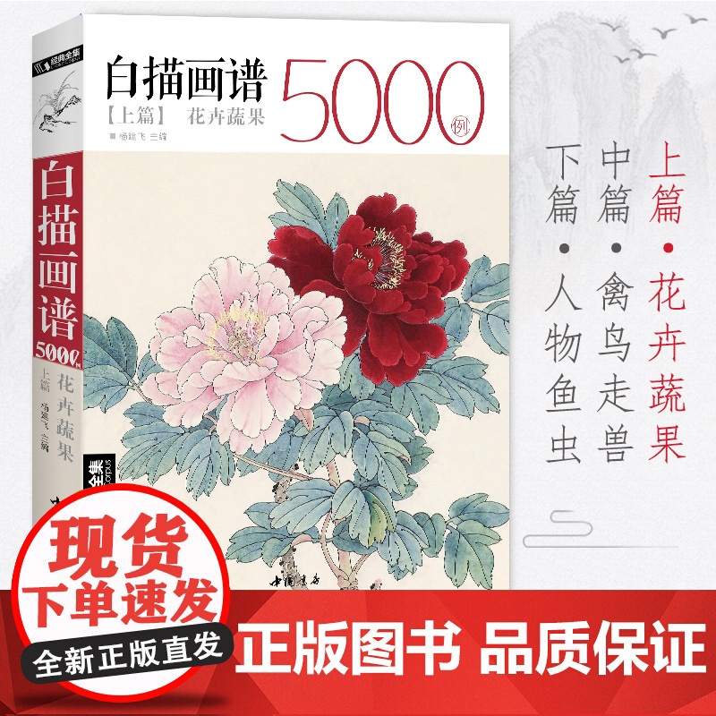 白描画谱5000例·上篇·花卉蔬果 中国工笔技法花鸟画册集书籍入门sh高清大图