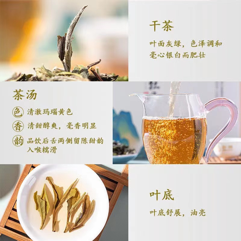 中粮中茶福禄· 白牡丹120g高清大图