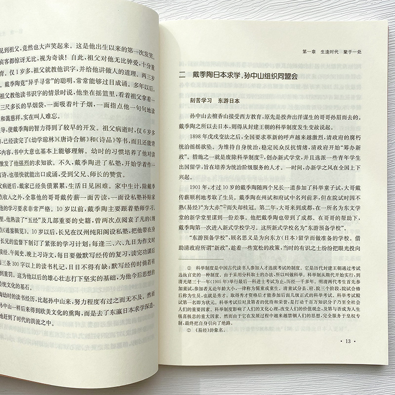 醉染图书与戴季陶9787305113高清大图