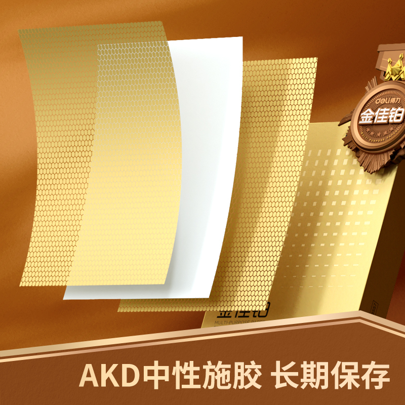 得力(deli)金佳铂 A4打印纸 80g500张*5包一箱 高档加厚复印纸 合同标书彩打纸 整箱2500张 3564