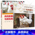 【正版】套装2册肉鸡疾病临床诊治与规范用药+肉鸡福利养殖技术指南 养鸡技术书养殖大全肉鸡养殖书 鸡病鉴别诊断图谱 鸡病