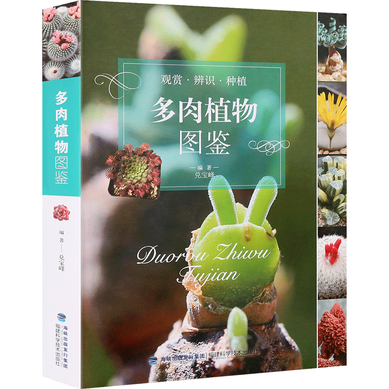 [醉染正版]多肉植物图鉴 兑宝峰 多肉书籍大全 多肉种植多肉养殖书籍 养护多肉植物组合盆栽制作栽培技术入门 如何种花养花高清大图