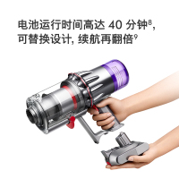 戴森(Dyson)无绳吸尘器(V10轻量版)Digital Slim Fluffy轻量手持 家用除螨无线宠物家立式过滤