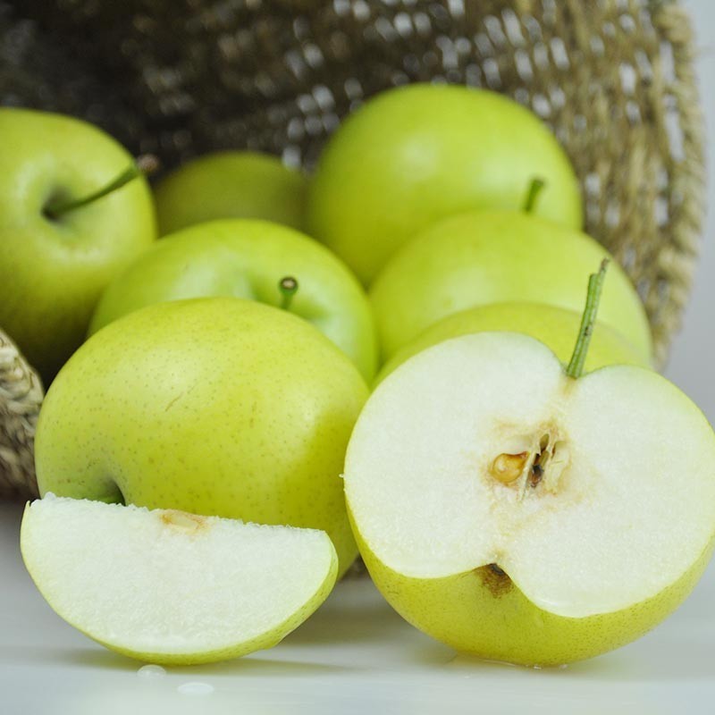 新鲜酥梨新鲜水果梨子25斤当季雪梨砀山梨翠冠梨