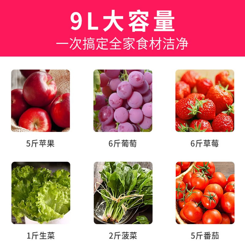 BINGLO 德国宾果果蔬机果蔬清洗机果蔬消毒机家用洗菜机洗肉鱼非臭氧食品净化机全自动多功能分解农残解毒机 金色9L