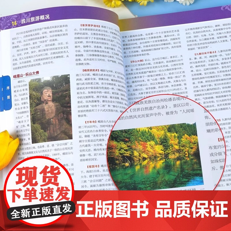 [ 中国地图出版社] 四川地图册 中国分省系列地图册 高清彩印 自驾自助游 标注政区 详实交通2024高清大图