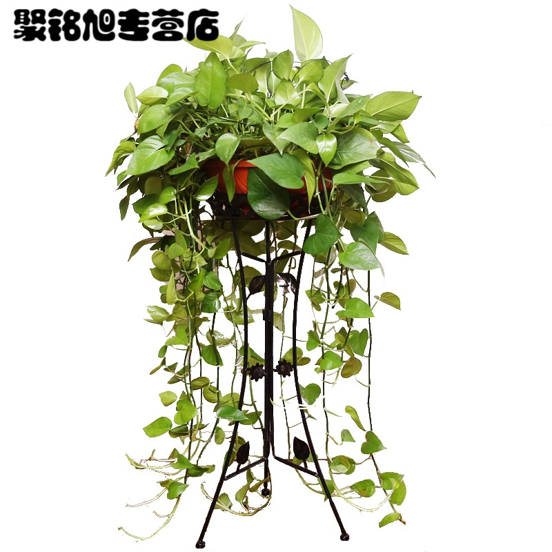 欧式铁艺花架多层落地式阳台客厅兰绿萝花架子室内花盆架子家居家用简约时尚多功能收纳架