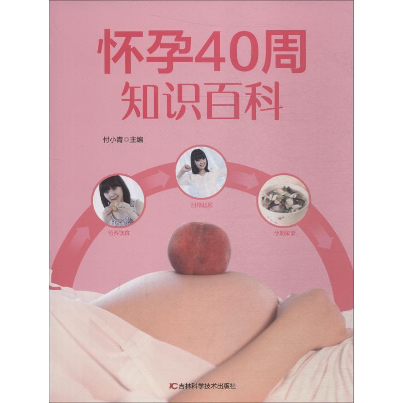 正版新书】怀孕40周知识百科付小青9787538497601