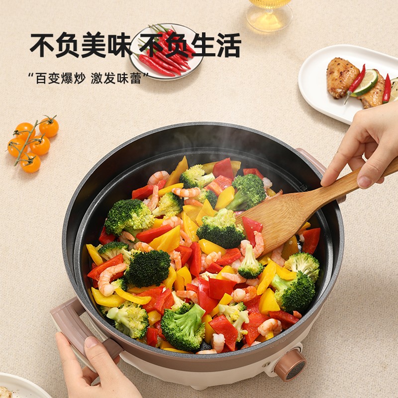 longde龙的电煎锅LD-HG513C高清大图