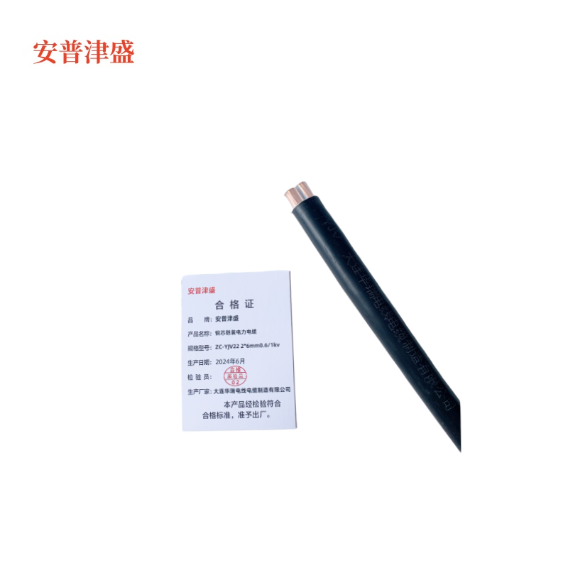 安普津盛 铜芯铠装电力电缆 ZC-YJV22 2*6mm0.6/1kv 米高清大图