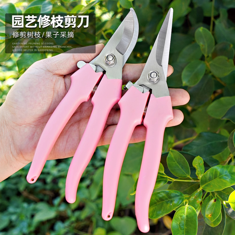 新款专业园艺师新款园艺园林果树剪刀树枝家用修剪 把高清大图