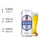 青岛啤酒淡爽500ml*4*3罐 箱装