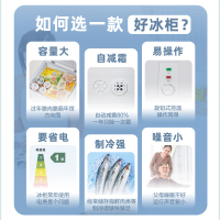 冰熊 62升 冷藏冷冻转换家用商用节能小冰柜迷你卧式一级能耗小型变温冷柜微霜款BC/BD-62A118