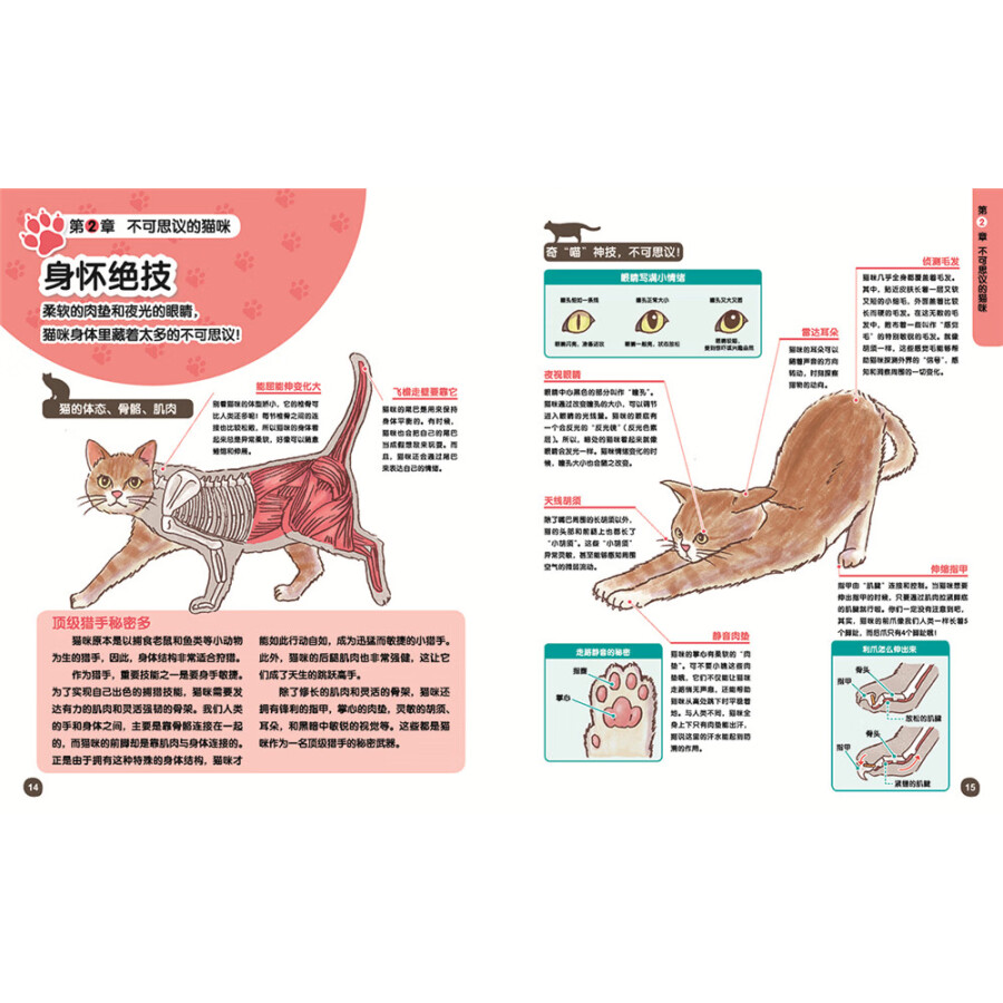 [正版]猫咪来了 送给孩子的宠物小百科 小野寺佑纪 著 张岚 译 宠物百科书籍 宠物猫品种种类名称 宠物猫生活习惯 猫猫高清大图