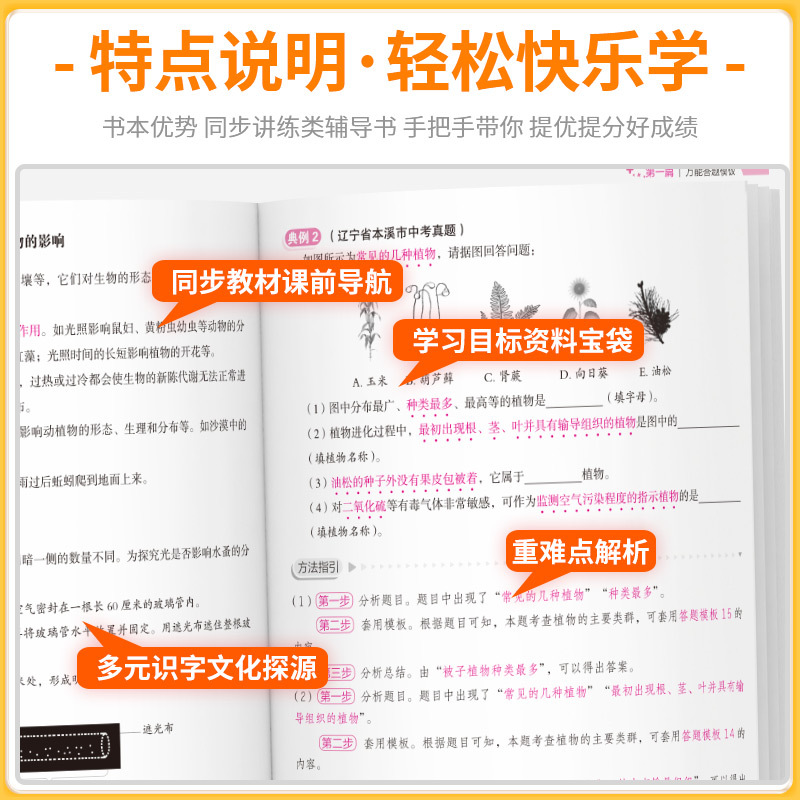 [热卖❤小四门]政治+历史+地理+生物 初中通用 [正版]初中小四门答题模板知识点必背人教版七八九年级政治历史基础知