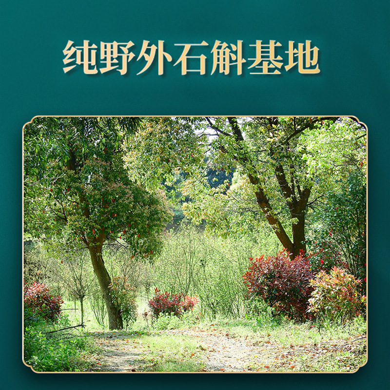 北京同仁堂 3罐 铁皮石斛胶质浓郁 可磨铁皮石斛粉装 铁皮石斛铁皮石斛官方正品旗舰店高清大图
