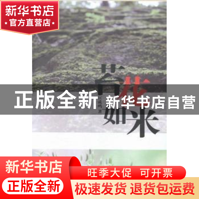 正版 苔花如米 匡成鸣著 文汇出版社 9787549613366 书籍
