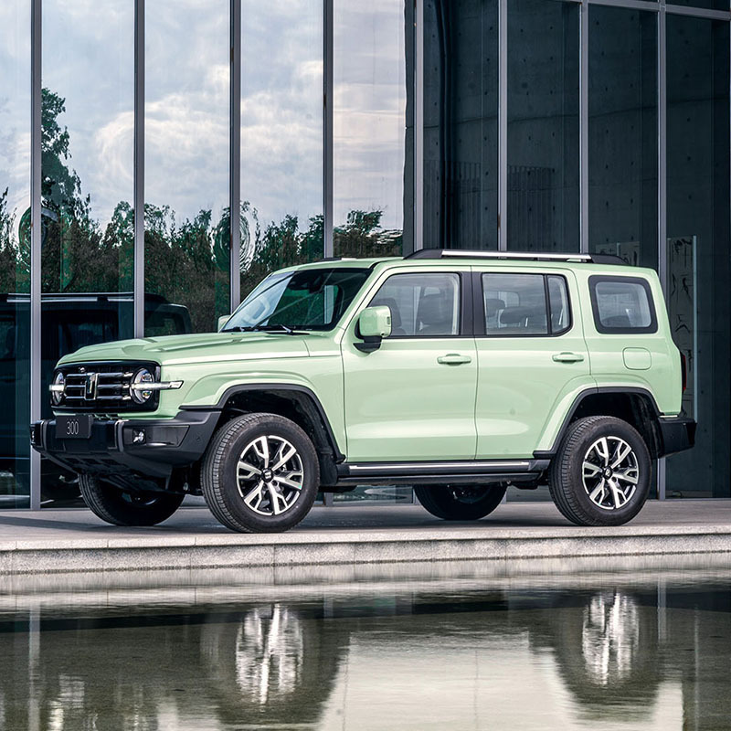 坦克(Thank) 坦克300 城市版 很有型 汽车 整车 城市SUV[直降7800元]