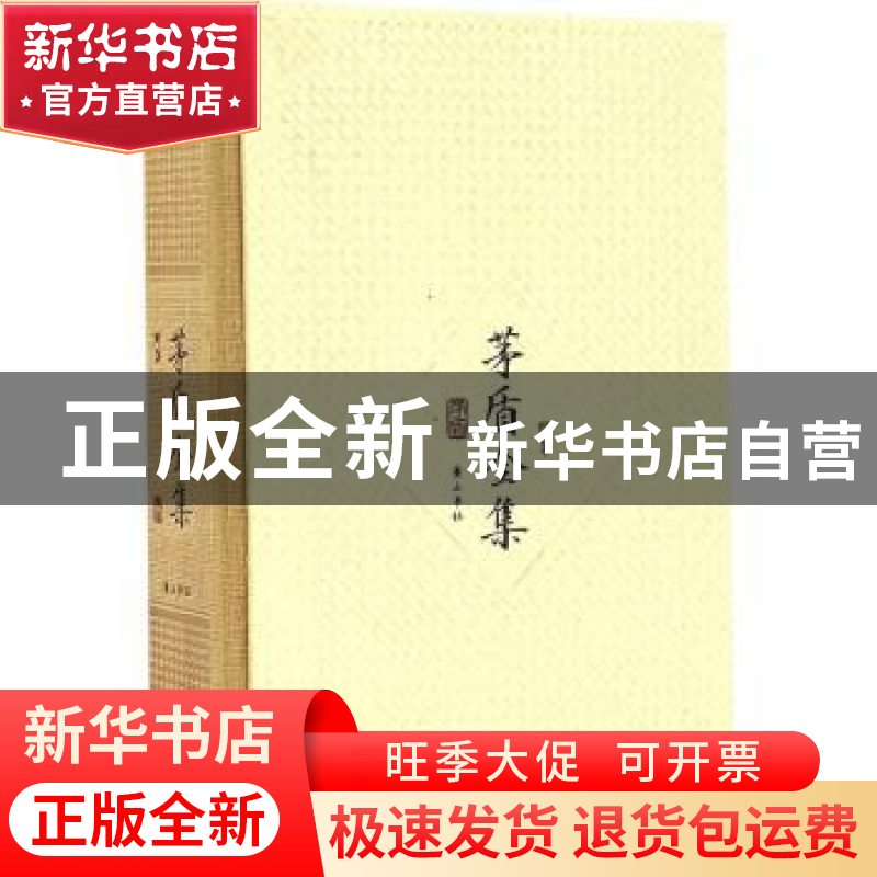 正版 茅盾全集(附集42) 茅盾,钟桂松 黄山书社 9787546130989 书高清大图