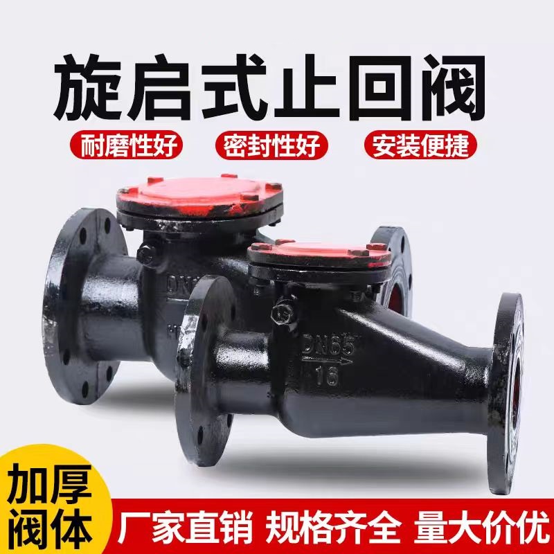 中锦科技 旋启式法兰止回阀 H44T-16 DN200 台高清大图