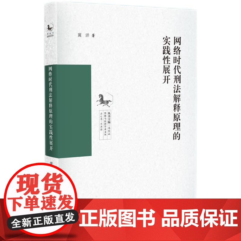 2024新书 网络时代刑法解释原理的实践性展开 冀洋 著 知识产权出版社 9787513087667高清大图