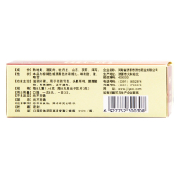 恒修堂 六味地黄丸(浓缩丸)312丸