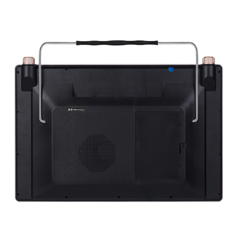 金正(NiNTAUS)S502视频播放器19英寸便携式高清老人看戏机听戏机插卡唱戏机 多功能大功率广场舞音箱8G