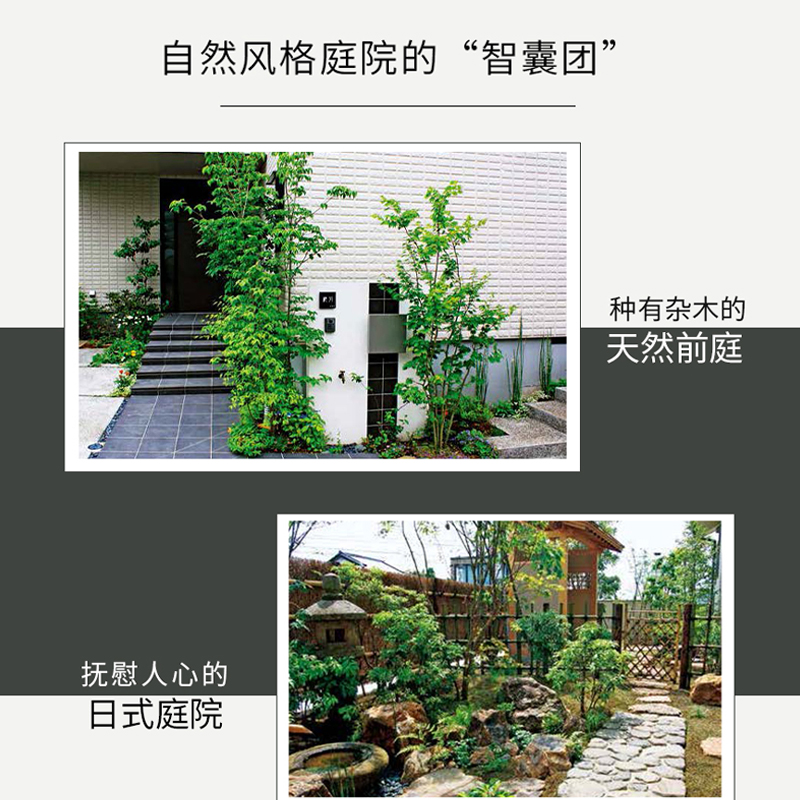 [醉染正版]生活-杂木庭院百科 日式杂木风格庭院风格设计 30种庭院风格 杂木庭院建造 庭院景观设计书植物花卉栽培技巧书高清大图