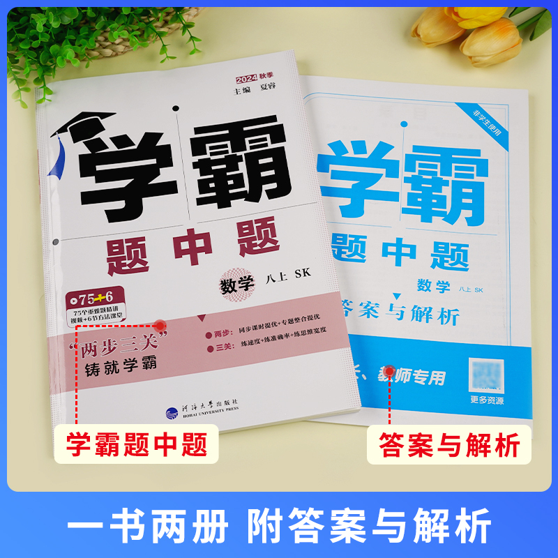 物理 人教 八年级下 [正版]2024学霸题中题数学英语物理八年级上下册人教浙江苏科版江苏8年级同步课时作业练习册