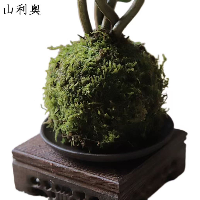 山利奥 茶台摆件 SLA-21/件高清大图