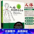 人体经筋解剖图谱 图解学习人体经筋解剖及筋结点 中医医学书籍 刘春山编著 中国科学技术出版社 中央保健会 【正版】wf技