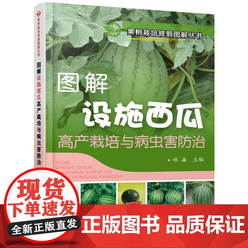 果树栽培修剪图解丛书--图解设施西瓜高产栽培与病虫害防治高清大图