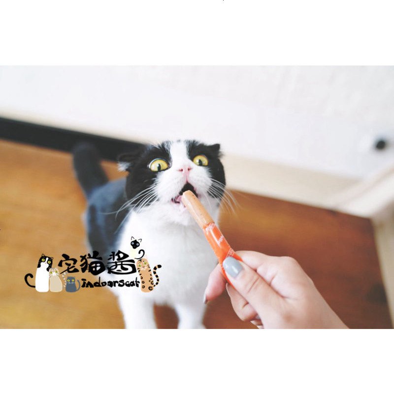 宅猫酱 猫粮伴侣猫咪火腿肠 三个口味可挑选 猫零食